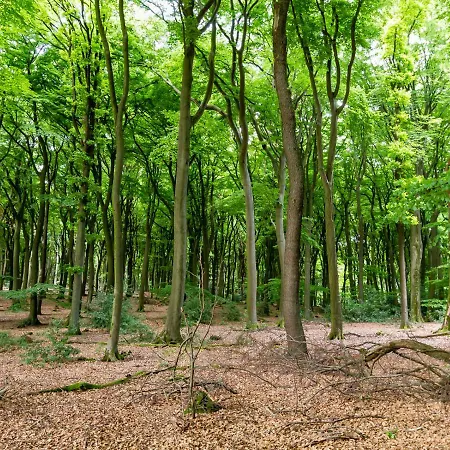 Ferialis Ксантен