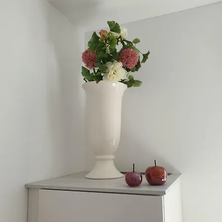 Ferialis קסנטן